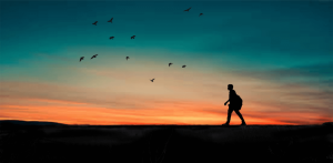 The Secret to finding the best candidate - silhouette of a person walking, sunset background