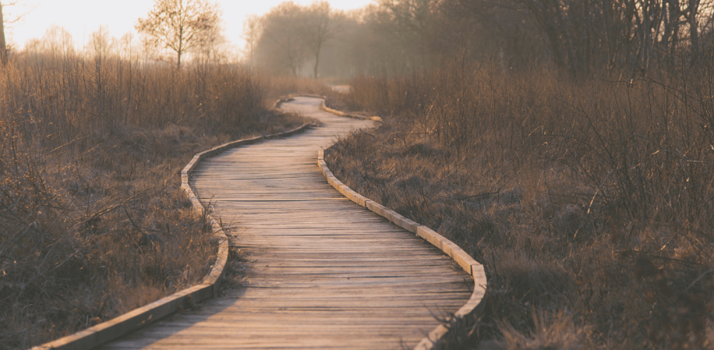 Humility In Leadership - wooden pathway winding through brush, sunset